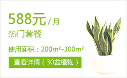 588元绿植租赁套餐